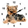 Dog Clock Yorkshire Terrier Glass Desk or Wall Clock (17cm)