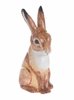 John Beswick Hare Money Box or Ceramic Rabbit Figurine