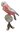 Galah - Australian Pink & Grey Bird Jewelled Box Or Figurine